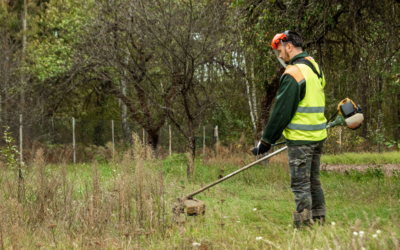Débroussaillement obligatoire