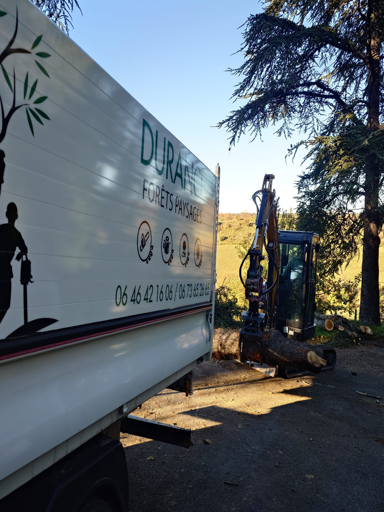 Chargement de bois évacuation avec grappin pelle - Durance Forêts Paysages Chargement de bois évacuation avec grappin pelle - Durance Forêts Paysages