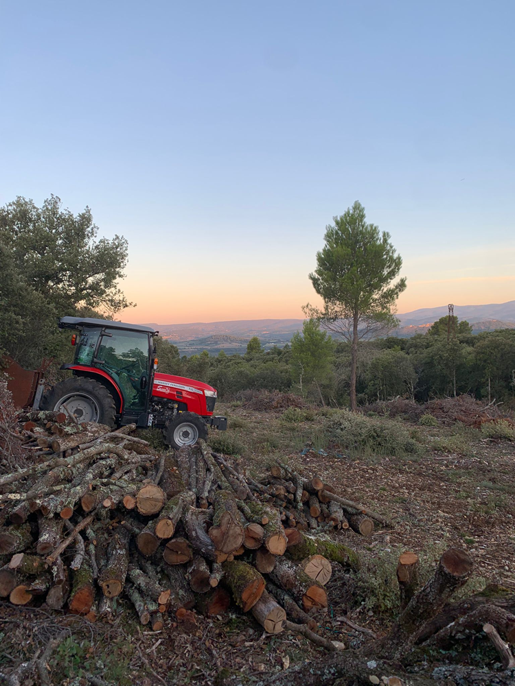 Coupe de bois à Oraison - Durance Forêts Paysages Coupe de bois à Oraison - Durance Forêts Paysages
