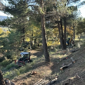 Travaux forestiers à Villeneuve dans les Alpes-de-Haute-Provence Travaux forestiers à Villeneuve dans les Alpes-de-Haute-Provence