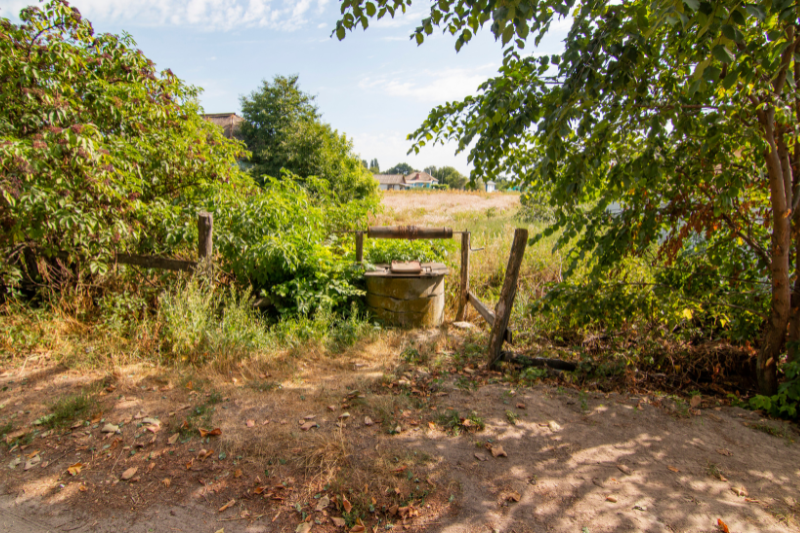 Arbre dangereux les signes à repérer avant les orages - Durance forêts paysages