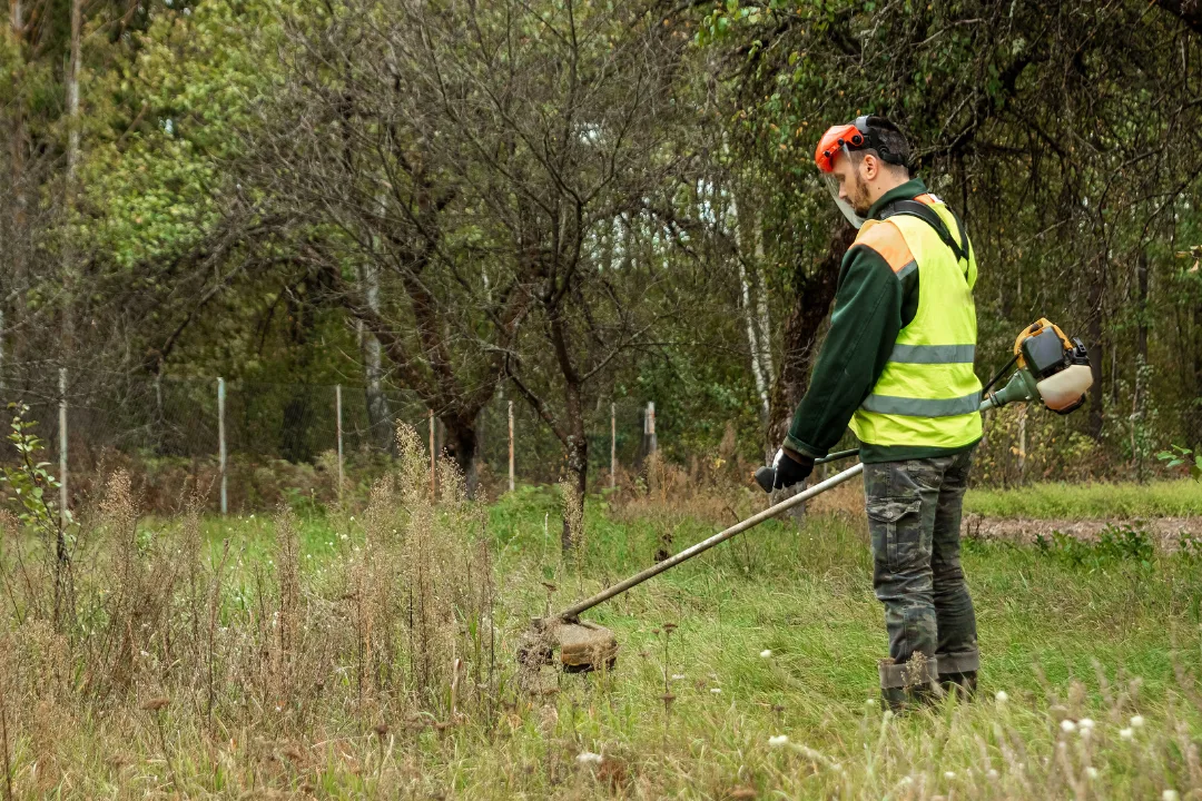 Débroussaillage Durance Forêts paysages sur Manosque et les alentours