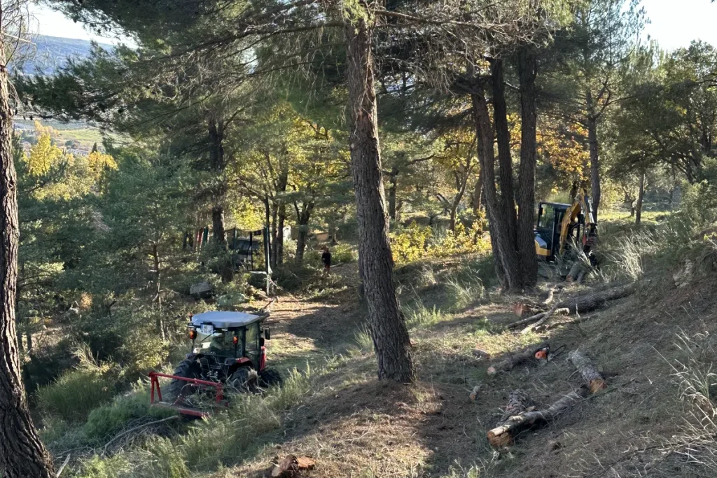 Tracteur broyeur et mini-pelle en travaux DFCI dans un massif de pins à Villeneuve